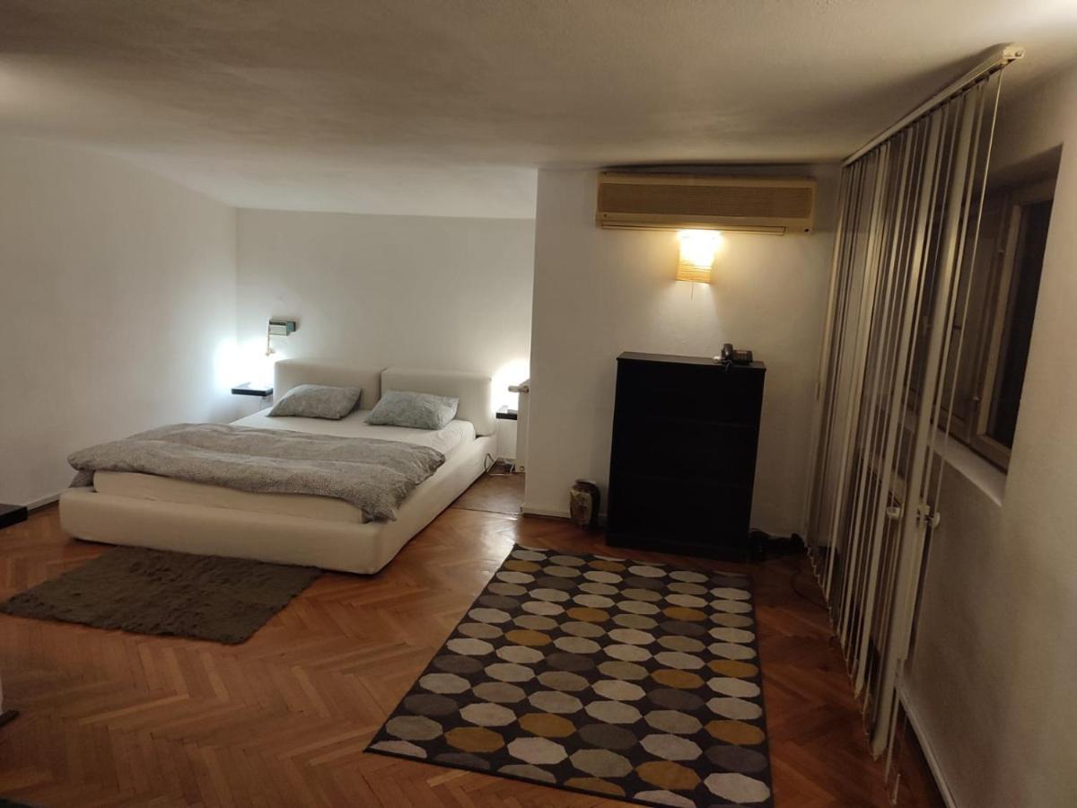 Dorobanti Loft Apartment Букурещ Екстериор снимка